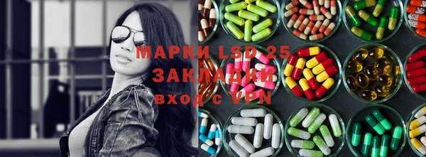 стафф Козельск