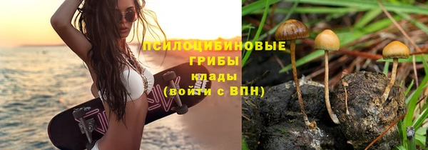 дурь Корсаков