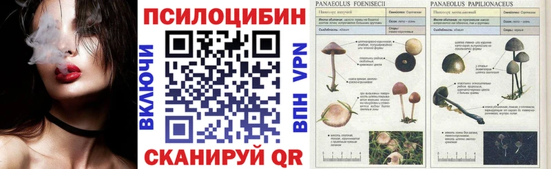 Галлюциногенные грибы Magic Shrooms  Красный Сулин 